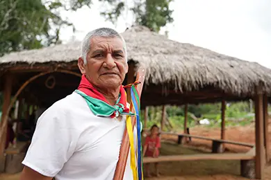 Consolidación de la Paz